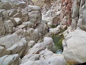 feature photo