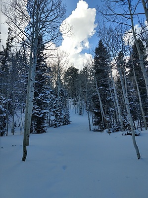 feature photo