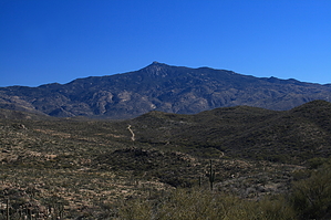 feature photo