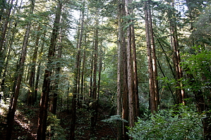 feature photo