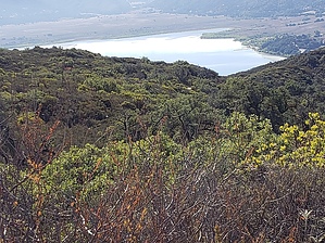 feature photo