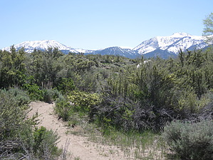 feature photo