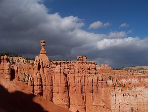 feature photo