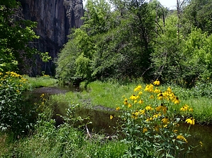 feature photo