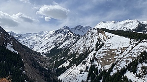feature photo