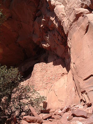 feature photo