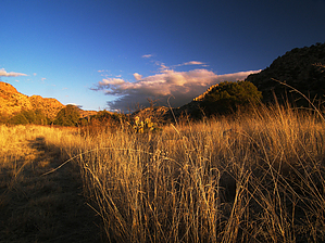 feature photo