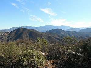 feature photo