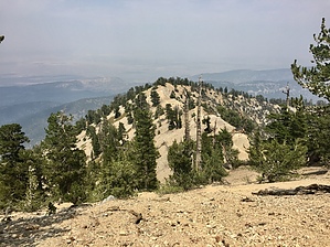 feature photo