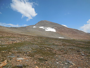feature photo