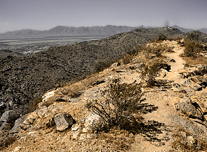 feature photo