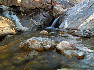 feature photo