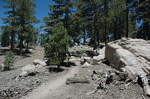 feature photo