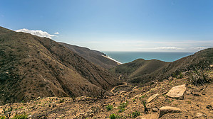 feature photo