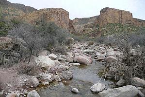 feature photo