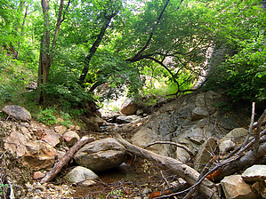 feature photo