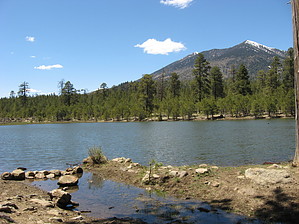 feature photo