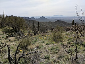 feature photo