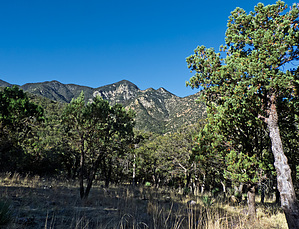 feature photo