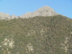 feature photo