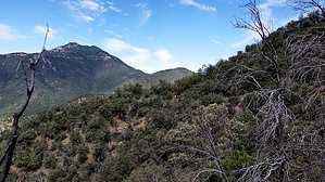 feature photo
