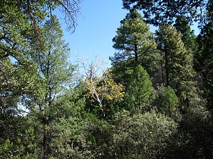 feature photo