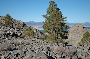 feature photo