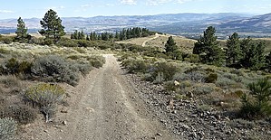 feature photo
