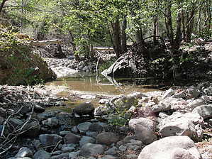 feature photo