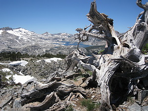 feature photo