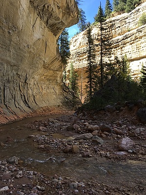 feature photo