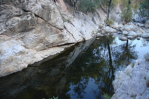 feature photo