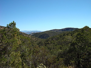 feature photo