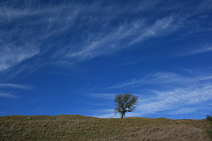 feature photo