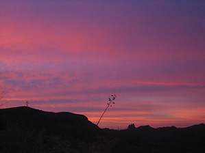 feature photo