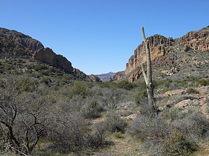 feature photo