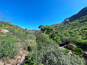 feature photo