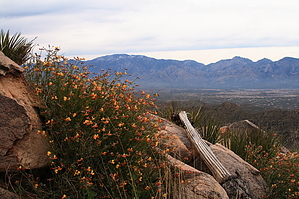 feature photo