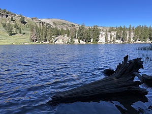 feature photo