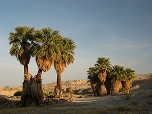 feature photo