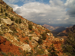 feature photo