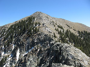 feature photo