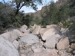 feature photo