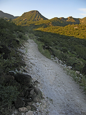 feature photo