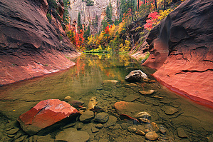 feature photo
