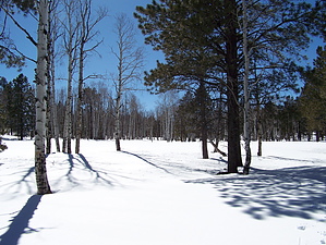 feature photo