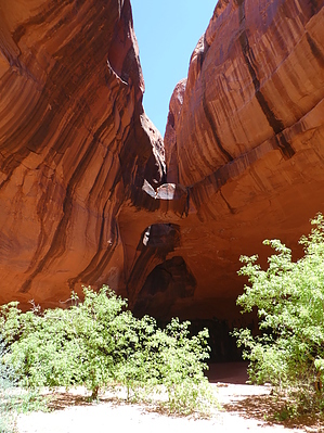 feature photo