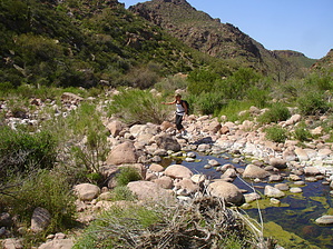 feature photo