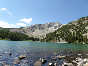 feature photo