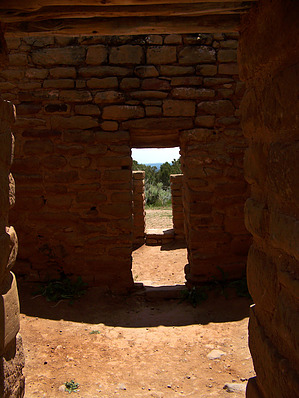 feature photo